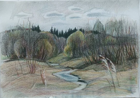 Солониха. Ручей и ивняк, бум. /цветн.кар., 30х40см, 2023
