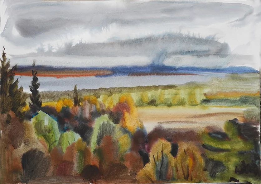 Вид из Борисовского дома. Осенние дожди, бум/акварель, 42х60, 2019